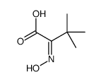 2-hydroxyimino-3,3-dimethylbutanoic acid结构式
