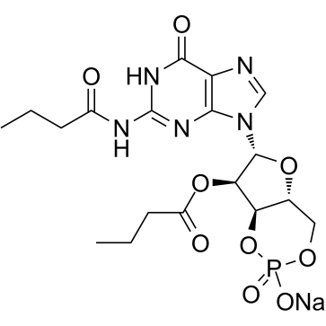 N-(1-氧丁基)-环3',5'-(磷酸氢盐)2'-丁酸鸟苷单钠盐结构式
