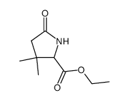 3,3-dimethyl-5-oxopyrrolidine-2-carboxylic acid ethyl ester Structure