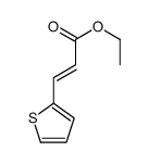 (E)-3-(2-噻吩)丙烯酸乙酯结构式