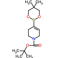 3.6-二氢-2H-吡啶-1-叔丁氧羰基-4-硼酸新戊二醇酯结构式