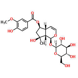 6-O-香草酰基筋骨草醇结构式
