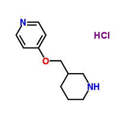 4-(3-Piperidinylmethoxy)pyridine hydrochloride (1:1) Structure
