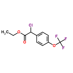 Ethyl chloro[4-(trifluoromethoxy)phenyl]acetate Structure
