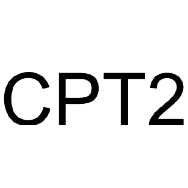 CPT2结构式