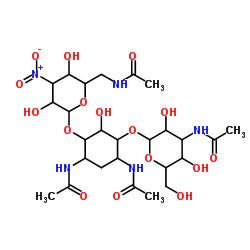 6-O-[3-乙酰氨基-3-脱氧-α-D-吡喃葡萄糖基]-4-O-(6-乙酰氨基-3,6-二脱氧-3-硝基己吡喃糖基)-N,N'-二乙酰基-2-脱氧-D-链胺结构式