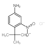 3-nitro-4-tert-butyl-aniline结构式