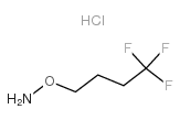 O-(4,4,4-Trifluorobutyl)hydroxylamine hydrochloride Structure
