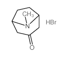 8-methyl-8-azabicyclo[3.2.1]octan-3-one,hydrobromide Structure