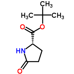 tert-butyl 5-oxo-L-prolinate Structure