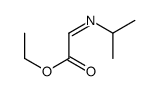 ethyl 2-propan-2-yliminoacetate Structure