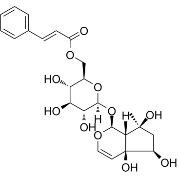 6'-O-cinnamoyl harpagide structure