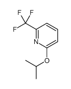 2-异丙氧基-6-(三氟甲基)吡啶图片