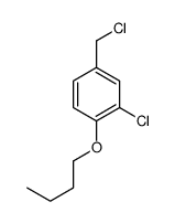 1-butoxy-2-chloro-4-(chloromethyl)benzene Structure
