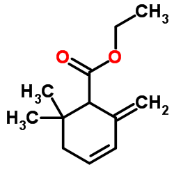 6,6-二甲基-2-亚甲基-3-环己烯-1-羧酸乙酯结构式