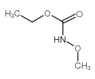 Ethyl N-methoxycarbamate structure