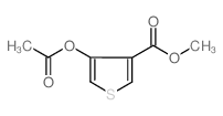 4-乙酰氧基噻吩-3-羧酸甲酯结构式