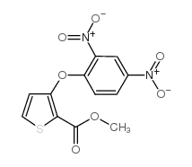 methyl 3-(2,4-dinitrophenoxy)thiophene-2-carboxylate Structure