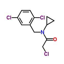 2-Chloro-N-cyclopropyl-N-(2,5-dichlorobenzyl)acetamide Structure
