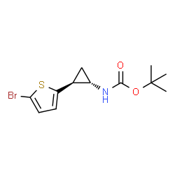 N-[((1S,2S)-rel-2-(5-溴噻吩-2-基)环丙基]氨基甲酸叔丁酯结构式