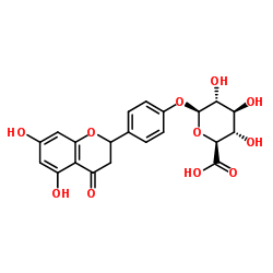 柚皮素4'-O-β-D-葡糖苷酸结构式