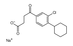 sodium,4-(3-chloro-4-cyclohexylphenyl)-4-oxobutanoate结构式