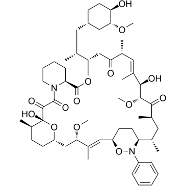892494-07-4 structure
