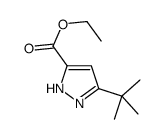 3-叔丁基-1H-吡唑-5-甲基乙酯结构式