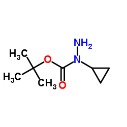 2-Methyl-2-propanyl 1-cyclopropylhydrazinecarboxylate Structure