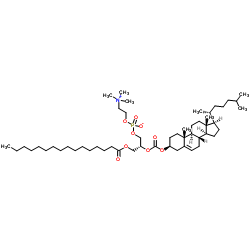 (2R)-2-({[(3β)-Cholest-5-en-3-yloxy]carbonyl}oxy)-3-(palmitoyloxy)propyl 2-(trimethylammonio)ethyl phosphate Structure