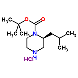 (S)-2-异丁基哌嗪-1-羧酸叔丁酯盐酸盐结构式