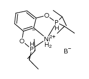 (iPrPOCOP)Ni(η2-BH4)结构式