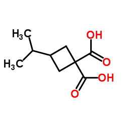 3-Isopropyl-1,1-cyclobutanedicarboxylic acid Structure
