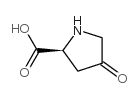 4-氧代脯氨酸结构式
