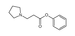 phenyl 3-pyrrolidin-1-ylpropanoate Structure