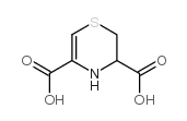 3,4-二氢-2H-1,4-噻嗪-3,5-二羧酸结构式