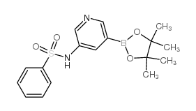 N-(5-(4,4,5,5-四甲基-1,3,2-二噁硼烷-2-基)吡啶-3-基)苯磺酰胺结构式
