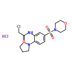 2-chloro-N-[5-(morpholin-4-ylsulfonyl)-2-pyrrolidin-1-ylphenyl]acetamide hydrochloride结构式