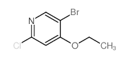 5-溴-2-氯-4-乙氧基吡啶结构式