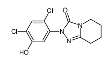 2-(2,4-dichloro-5-hydroxyphenyl)-5,6,7,8-tetrahydro-[1,2,4]triazolo[4,3-a]pyridin-3-one结构式