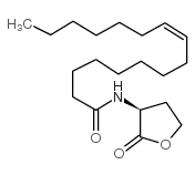 二氢-3-氨基-2-(3H)-呋喃酮结构式