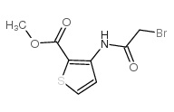 3-[(2-溴乙酰基)氨基]噻吩-2-羧酸甲酯结构式