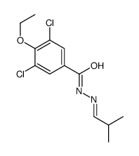 3,5-dichloro-4-ethoxy-N-[(E)-2-methylpropylideneamino]benzamide Structure