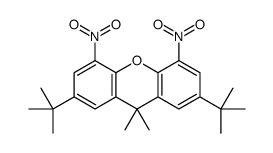 2,7-ditert-butyl-9,9-dimethyl-4,5-dinitroxanthene结构式