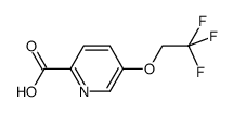 5-(2,2,2-trifluoroethoxy)pyridine-2-carboxylic acid structure