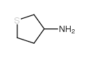 Tetrahydrothien-3-ylamine Structure