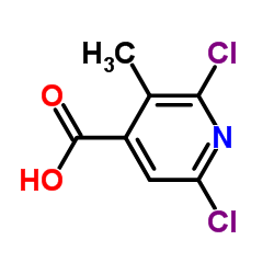 2,6-二氯-3-甲基异烟酸结构式