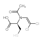 N-乙酰基-S-(2,2-二氯乙烯基)-L-半胱氨酸图片