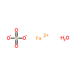 Ferrous sulfate monohydrate picture