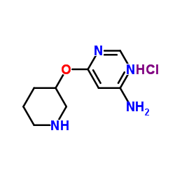 6-(Piperidin-3-yloxy)-pyrimidin-4-ylamine hydrochloride picture